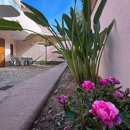 公寓 Sardinianworld - Hibiscus House Funtana Meiga